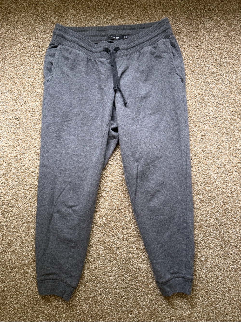 Torrid Gray Jogger Pant M/L